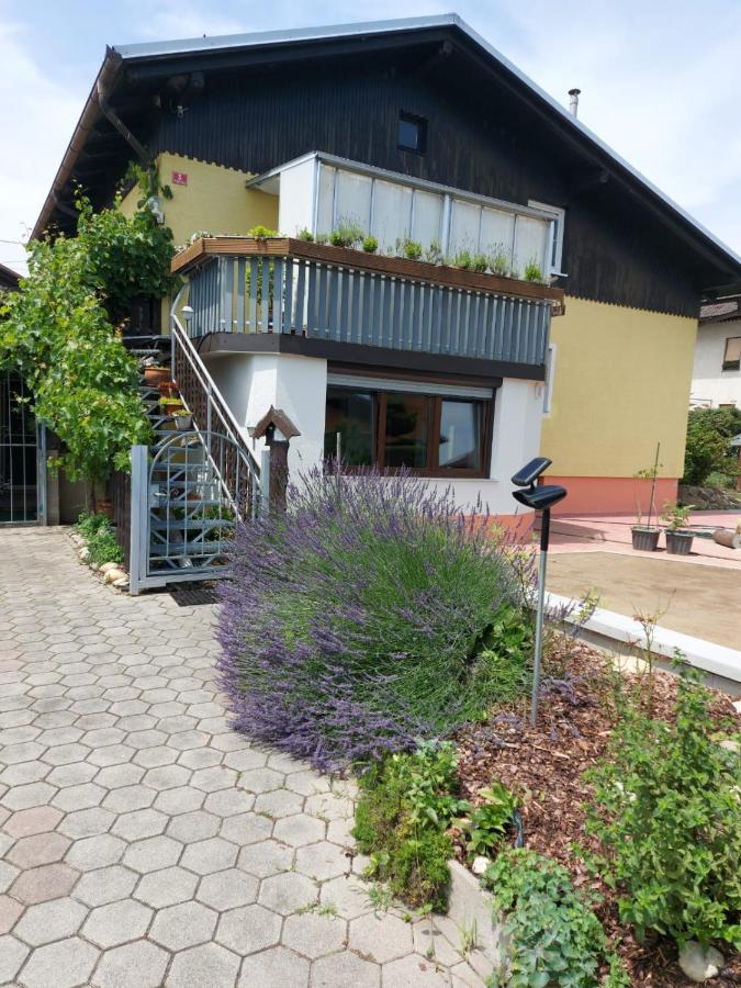 Apartma Reich Lägenhet Ptuj Exteriör bild