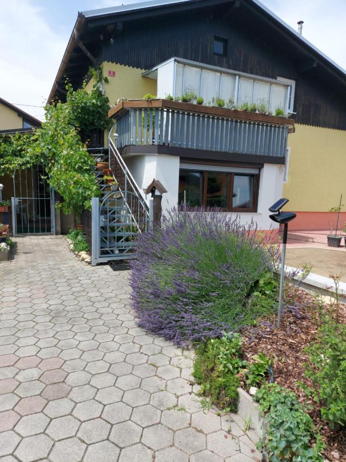 Apartma Reich Lägenhet Ptuj Exteriör bild